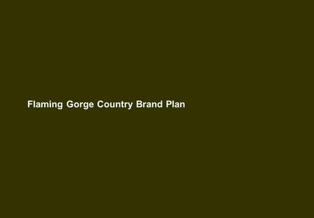 Flaming Gorge Country Brand Plan. BRAND REVIEW FLAMING GORGE COUNTRY WHO IS COMING TO FLAMING GORGE COUNTRY? Outdoor enthusiasts Boaters Fishermen Motor.