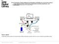 Date of download: 6/2/2016 Copyright © 2016 SPIE. All rights reserved. Single-fiber probe system for measuring the diffuse reflectance spectra with two.