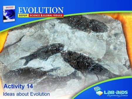 Ideas about Evolution. Activity 14: Ideas about Evolution LIMITED LICENSE TO MODIFY. These PowerPoint® slides may be modified only by teachers currently.