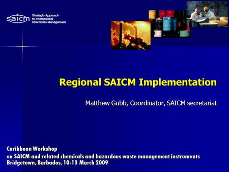 Caribbean Workshop on SAICM and related chemicals and hazardous waste management instruments Bridgetown, Barbados, 10-13 March 2009 Regional SAICM Implementation.