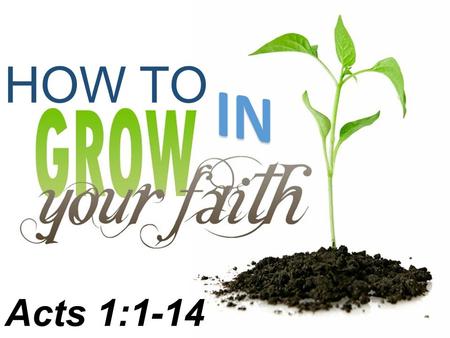 HOW TO Acts 1:1-14. ACTS 1:1-14 “The first account I composed, Theophilus, about all that Jesus began to do and teach, until the day He was taken up,