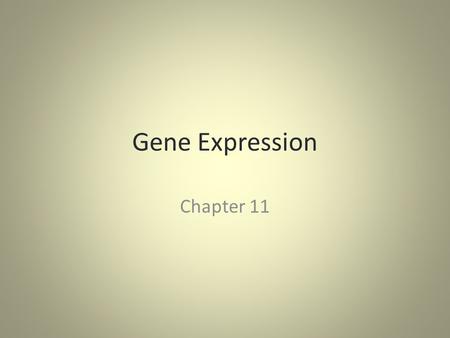 Gene Expression Chapter 11. Gene Expression…Why? Your cells use the message contained in your genome (DNA) to produce several thousand different proteins.