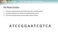 Lesson Overview Lesson Overview Gene Regulation and Expression Do Now (notes 1.Write this original sequence of DNA bases (this is the template) 2.Use DNA.