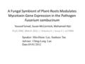 A Fungal Symbiont of Plant-Roots Modulates Mycotoxin Gene Expression in the Pathogen Fusarium sambucinum PLoS ONE, March 2011 | Volume 6 | Issue 3 | e17990.