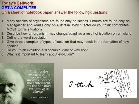 Today’s Bellwork: GET A COMPUTER. On a sheet of notebook paper, answer the following questions: 1.Many species of organisms are found only on islands.