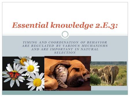 TIMING AND COORDINATION OF BEHAVIOR ARE REGULATED BY VARIOUS MECHANISMS AND ARE IMPORTANT IN NATURAL SELECTION Essential knowledge 2.E.3: