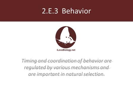 2.E.3 Behavior Timing and coordination of behavior are regulated by various mechanisms and are important in natural selection.