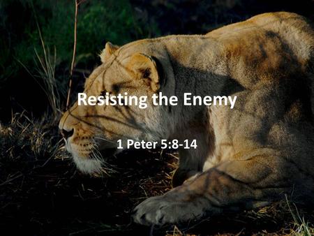 Resisting the Enemy 1 Peter 5:8-14. Resisting the Enemy For our struggle is not against flesh and blood, but against the rulers, against the powers, against.