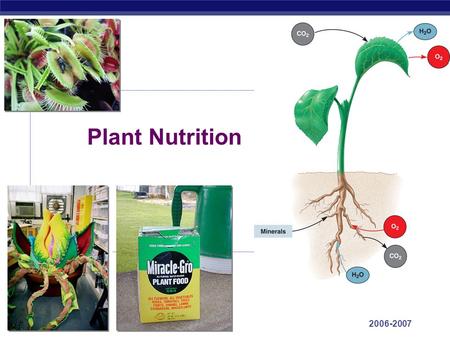 AP Biology 2006-2007 Plant Nutrition AP Biology Nutritional needs  Autotrophic does not mean autonomous  plants need…  sun as an energy source  inorganic.