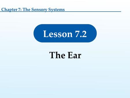 Chapter 7: The Sensory Systems