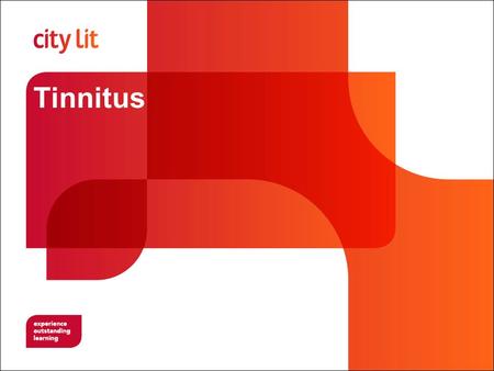 Tinnitus City Lit Objectives To understand current theories on the cause of tinnitus To understand the effects of tinnitus To understand how tinnitus.