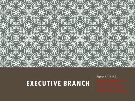 EXECUTIVE BRANCH Topics 5.1 & 5.2 Guiding Question: Does the current electoral process result in the best candidates for president?