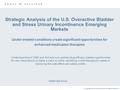 © Copyright 2004 Frost & Sullivan. All Rights Reserved. Strategic Analysis of the U.S. Overactive Bladder and Stress Urinary Incontinence Emerging Markets.