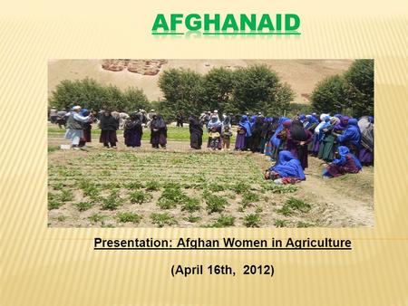 Presentation: Afghan Women in Agriculture (April 16th, 2012)