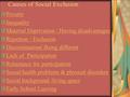 Causes of Social Exclusion Poverty Inequality Material Deprivation / Having disadvantages Rejection / Exclusion Discrimination / Being different Lack of.