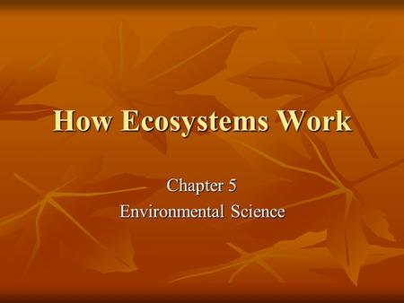 How Ecosystems Work Chapter 5 Environmental Science.