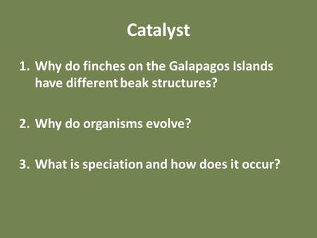 Catalyst 1.Why do finches on the Galapagos Islands have different beak structures? 2.Why do organisms evolve? 3.What is speciation and how does it occur?