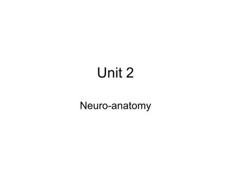 Unit 2 Neuro-anatomy. The neuron The neuron is the basic cellular structure which transmits nerve impulses throughout a complex network of interconnecting.