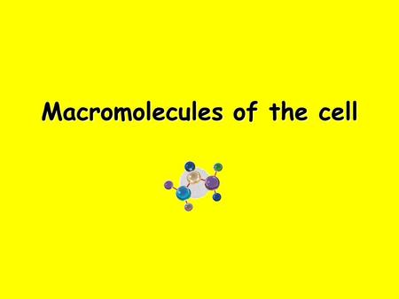 Macromolecules of the cell. Macromolecules are built of repeating Units Macromolecules are all Polymers: large molecule formed when many smaller, but.