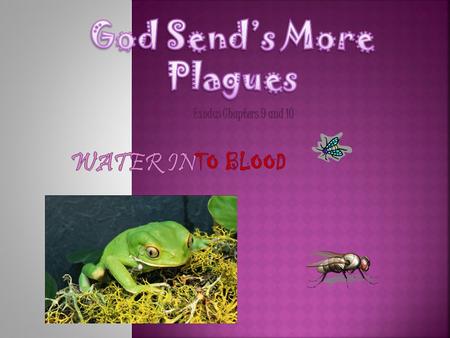 Exodus Chapters 9 and 10  The Disease of the Farm Animals  1 Then the Lord told Moses to go to Pharaoh and tell him: “The Lord, the God of the Hebrew.