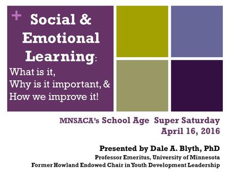 + MNSACA’s School Age Super Saturday April 16, 2016 Presented by Dale A. Blyth, PhD Professor Emeritus, University of Minnesota Former Howland Endowed.