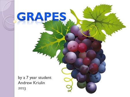 By a 7 year student Andrew Kriulin 2013. A grape is a fruiting berry of the deciduous woody vines.