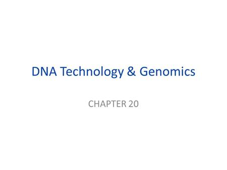 DNA Technology & Genomics CHAPTER 20. Restriction Enzymes enzymes that cut DNA at specific locations (restriction sites) yielding restriction fragments.