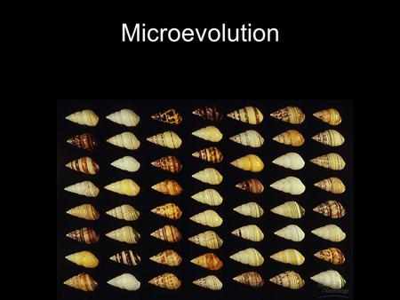 Microevolution. What is the smallest unit that can evolve? a)Individual b)Species c)Genus d)Population Final Answer? d! Do you remember how evolution.