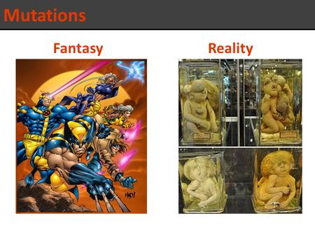 Fantasy Mutations Reality. Mutations: a permanent and heritable change in the nucleotide sequence of a gene. Are caused by mutagens (x-rays and UV light)