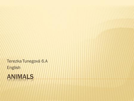 Terezka Tunegová 6.A English.  This is my dog Roxie.  I must feed every day.  She is sleeping at the moment.  Do you like dogs ?