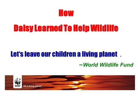 How Daisy Learned To Help Wildlife Let‘s leave our children a living planet ． -- -- World Wildlife Fund.