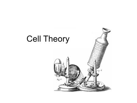 Cell Theory.