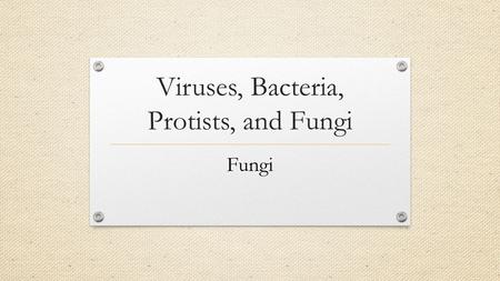 Viruses, Bacteria, Protists, and Fungi Fungi. What Are the Characteristics of Fungi? Most fungi share several important characteristics. Fungi are eukaryotes.