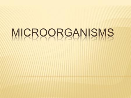  You will need to go to a station 1, 2, and 3.  Take your toolkit with you to record in.  Once at a microscope use only the FINE adjustment knob if.