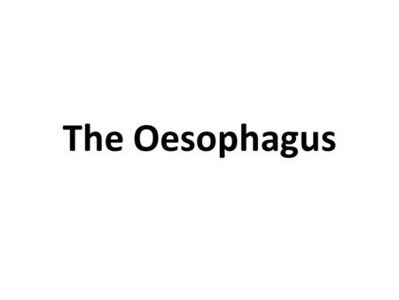 The Oesophagus. How does food get to the stomach?