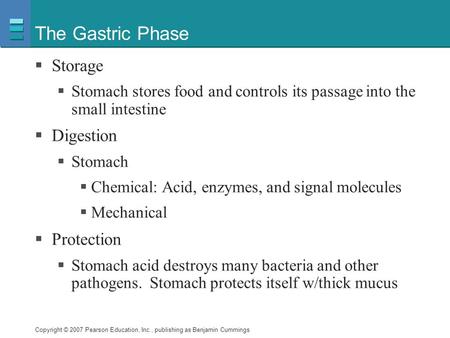 Copyright © 2007 Pearson Education, Inc., publishing as Benjamin Cummings The Gastric Phase  Storage  Stomach stores food and controls its passage into.