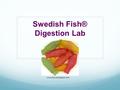 Swedish Fish® Digestion Lab www.thecandybaron.com.