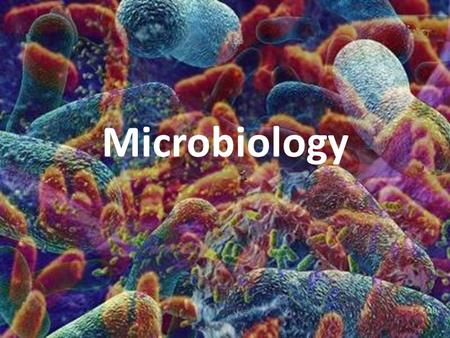 Microbiology. Founders 1.Pasteur a. Pasteurization- method to inactivate or kill microorganisms that grow rapidly in milk.