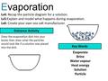 Evaporation Lv4: Recap the particle diagram for a solution.