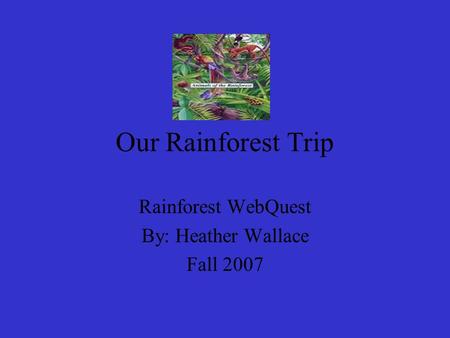 Our Rainforest Trip Rainforest WebQuest By: Heather Wallace Fall 2007.