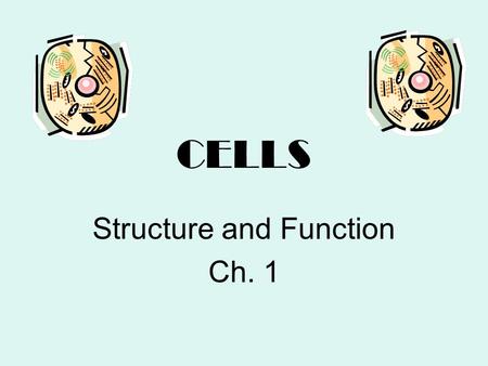 CELLS Structure and Function Ch. 1. What are they? Building blocks of life Very tiny –Cannot be seen without a microscope usually.