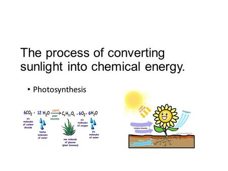 The process of converting sunlight into chemical energy. Photosynthesis.