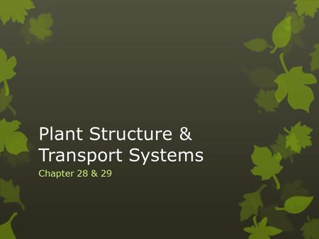 Plant Structure & Transport Systems Chapter 28 & 29.