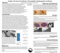 Single cell wound healing in Drosophila melanogaster embryos Biology Department, University of Puget Sound John Rosasco Wayne Rickoll University of Puget.