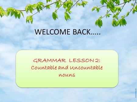 WELCOME BACK….. GRAMMAR LESSON 2: Countable and Uncountable nouns.