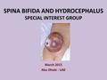 SPINA BIFIDA AND HYDROCEPHALUS SPECIAL INTEREST GROUP March 2015 Abu Dhabi - UAE.