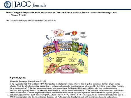 Date of download: 6/2/2016 Copyright © The American College of Cardiology. All rights reserved. From: Omega-3 Fatty Acids and Cardiovascular Disease: Effects.