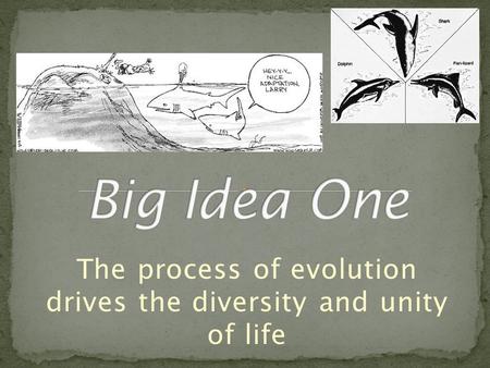 The process of evolution drives the diversity and unity of life.