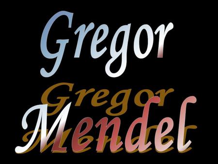 Gregor Mendel Gregor Mendel was a monk who studied heredity using pea plants He came up with a couple of laws for determining heredity.