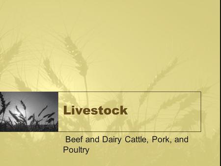 Livestock Beef and Dairy Cattle, Pork, and Poultry.